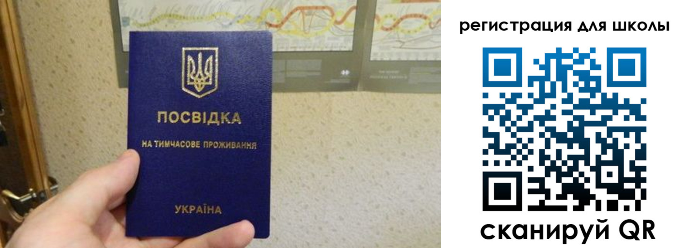 временная прописка в Щёкино